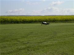 PICT1794.JPG